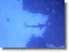 R0010458 * 2048 x 1536 * (1.31MB)