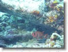 R0010471 * 2048 x 1536 * (1.31MB)