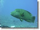 R0010579 * 2048 x 1536 * (1.36MB)