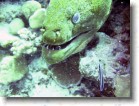 R0010585 * 2048 x 1536 * (379KB)