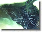 R0010589 * 2048 x 1536 * (1.32MB)
