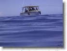R0010618 * 2048 x 1536 * (1.39MB)