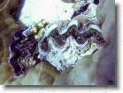 R0010649 * 2048 x 1536 * (543KB)