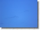 R0010667 * 2048 x 1536 * (1.29MB)