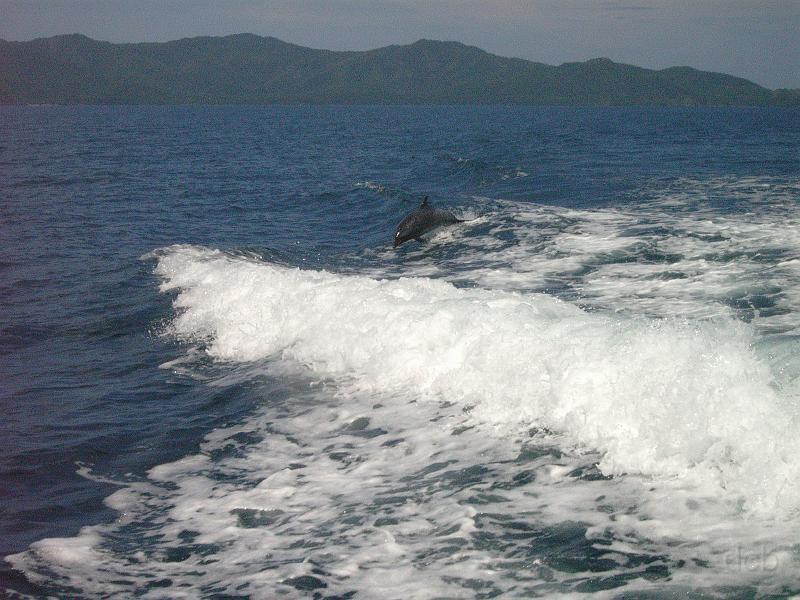 M0010481_edited-1.jpg