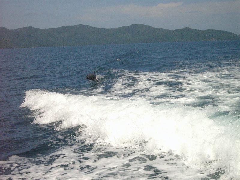 M0010482_edited-1.jpg