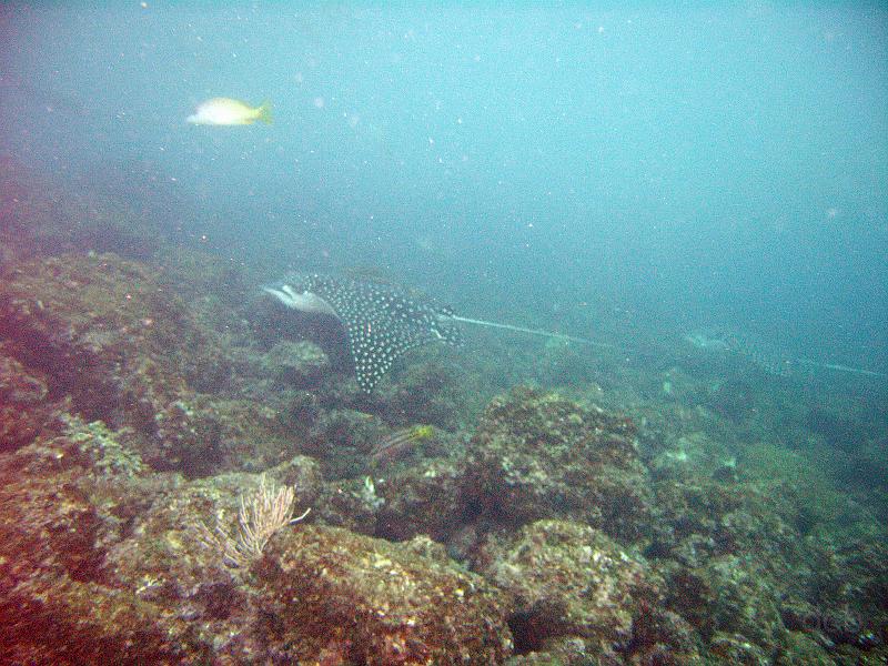 M0010496_edited-1.jpg