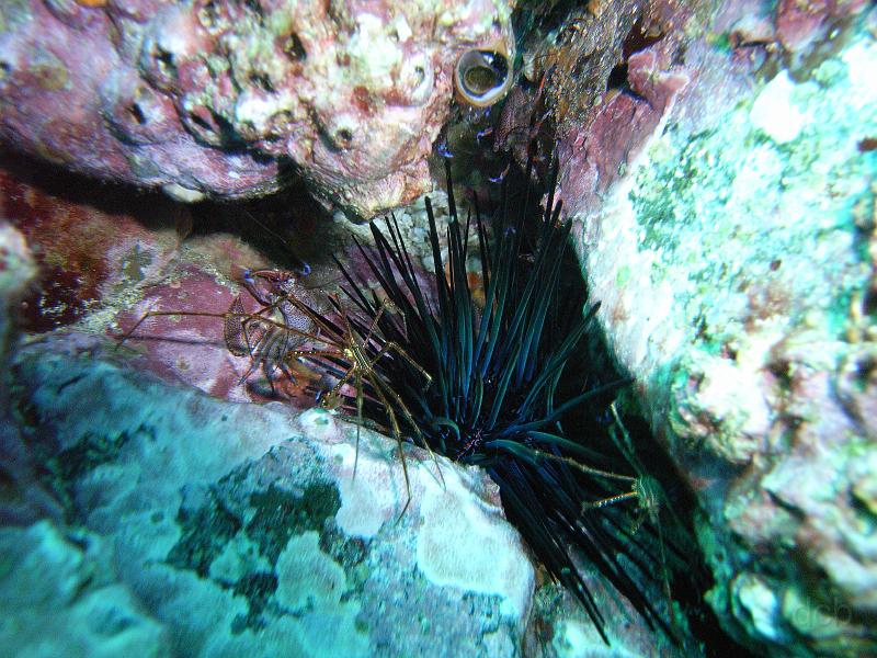 M0010541.JPG