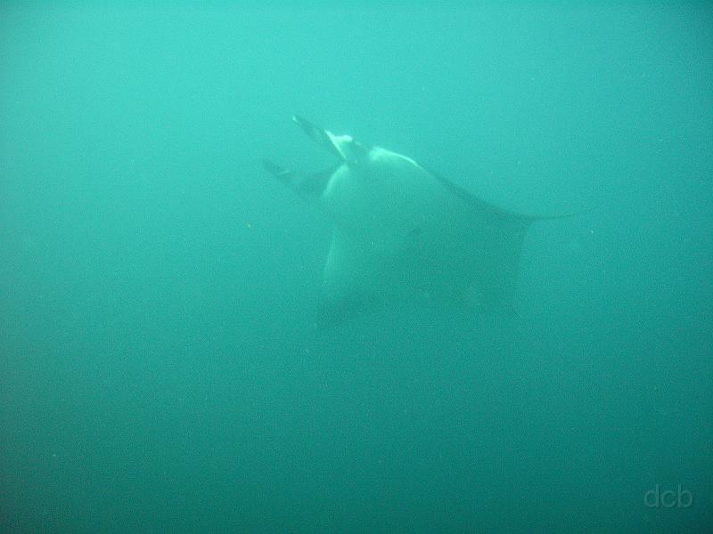 M0010543.JPG