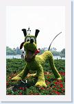 IMG_9594 * 2304 x 3456 * (3.9MB)