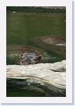IMG_9628 * 2304 x 3456 * (3.51MB)