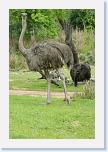 IMG_9646 * 2304 x 3456 * (3.82MB)