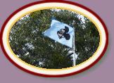 IMG_9084 * 3456 x 2304 * (1.49MB)