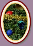 IMG_9174 * 2304 x 3456 * (2.02MB)