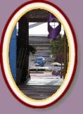 IMG_9270 * 2304 x 3456 * (1.52MB)