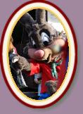 IMG_9411 * 2304 x 3456 * (1.1MB)