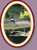 IMG_9426 * 2304 x 3456 * (1.49MB)