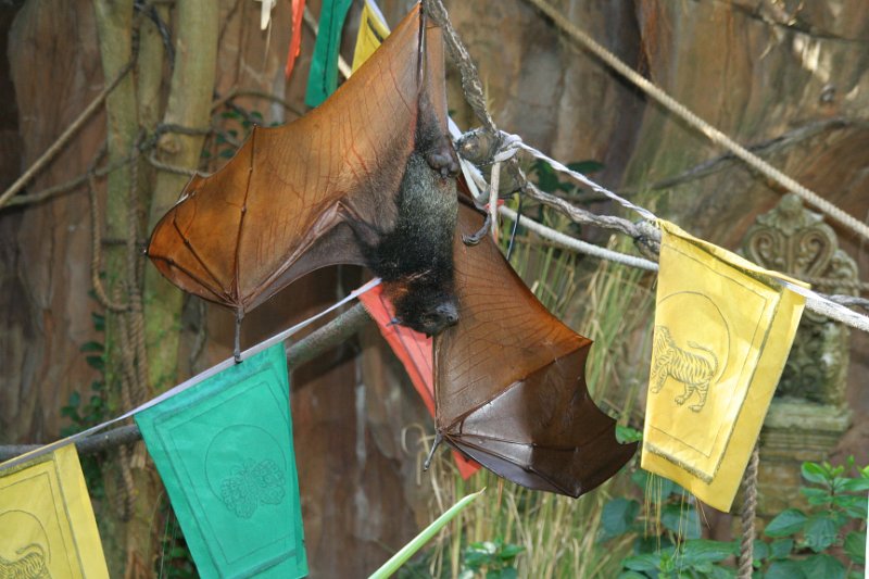 IMG_3533.JPG