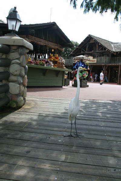 IMG_3636.JPG