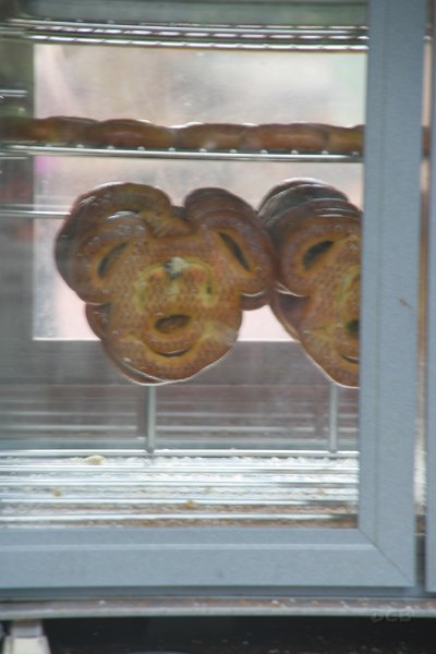 IMG_3638.JPG