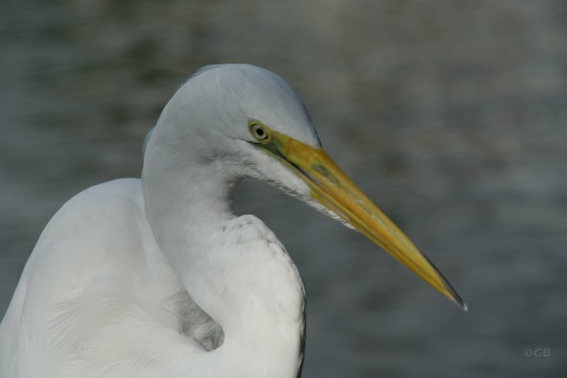 IMG_3673.JPG