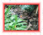 M0010681 * 2592 x 1944 * (1.84MB)