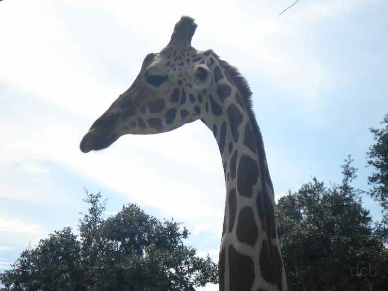 DSC05800.JPG