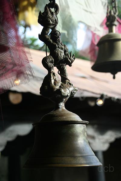 IMG_2222.JPG