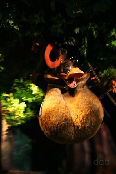 IMG_2377.JPG