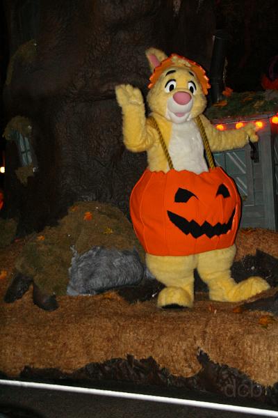 IMG_2432.JPG