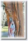 IMG_2493 * 2304 x 3456 * (4.42MB)