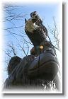IMG_2497 * 2304 x 3456 * (4.48MB)