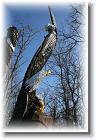IMG_2499 * 2304 x 3456 * (5.27MB)