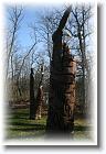 IMG_2500 * 2304 x 3456 * (5.39MB)